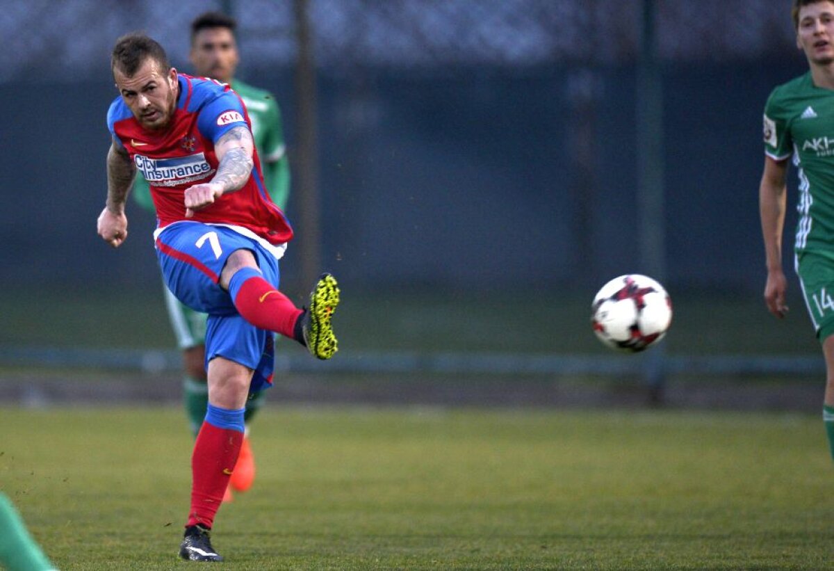 "Bizonul" caută banca » Gnohere dezamăgește la Steaua: este INEXISTENT!