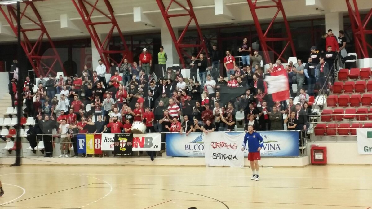 VIDEO + FOTO Spectacol în tribune la handbal! Dinamo, galerie fantastică în fața Stelei » Victorie categorică a "câinilor"