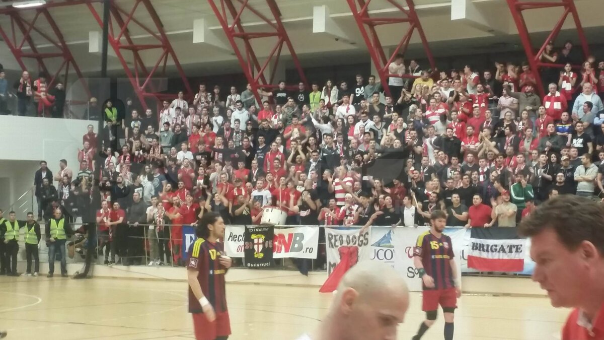 VIDEO + FOTO Spectacol în tribune la handbal! Dinamo, galerie fantastică în fața Stelei » Victorie categorică a "câinilor"