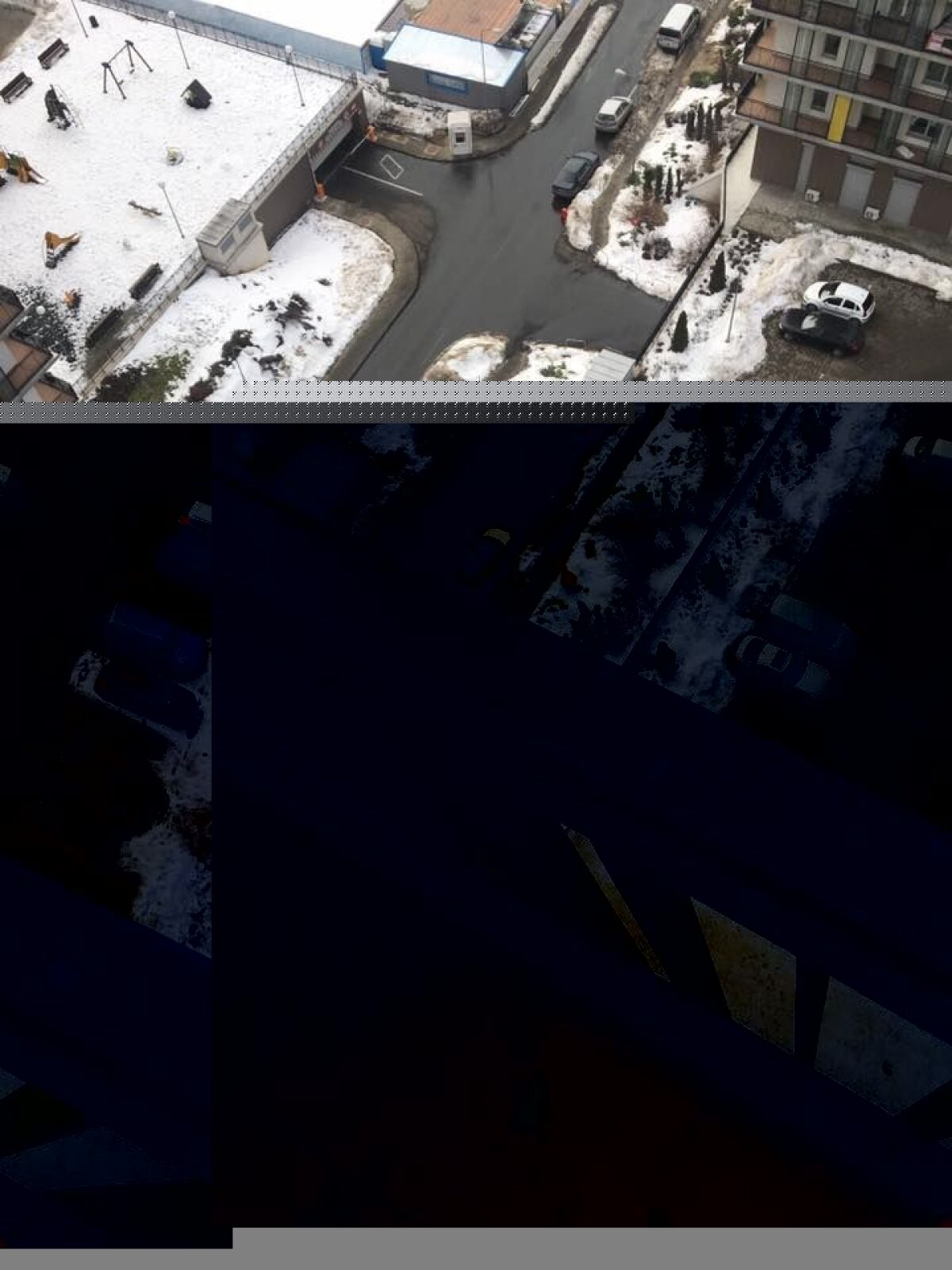 UPDATE Dosar pentru dinamovistul agresor: ”A recunoscut că mi-a omorât câinele” » Reacția clubului dinamovist