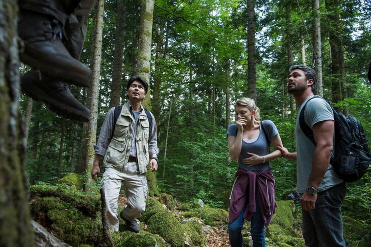VIDEO & GALERIE FOTO » Pădurea Aokigahara, unul dintre cele mai macabre locuri din lume