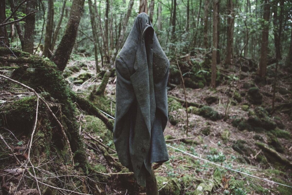 VIDEO & GALERIE FOTO » Pădurea Aokigahara, unul dintre cele mai macabre locuri din lume