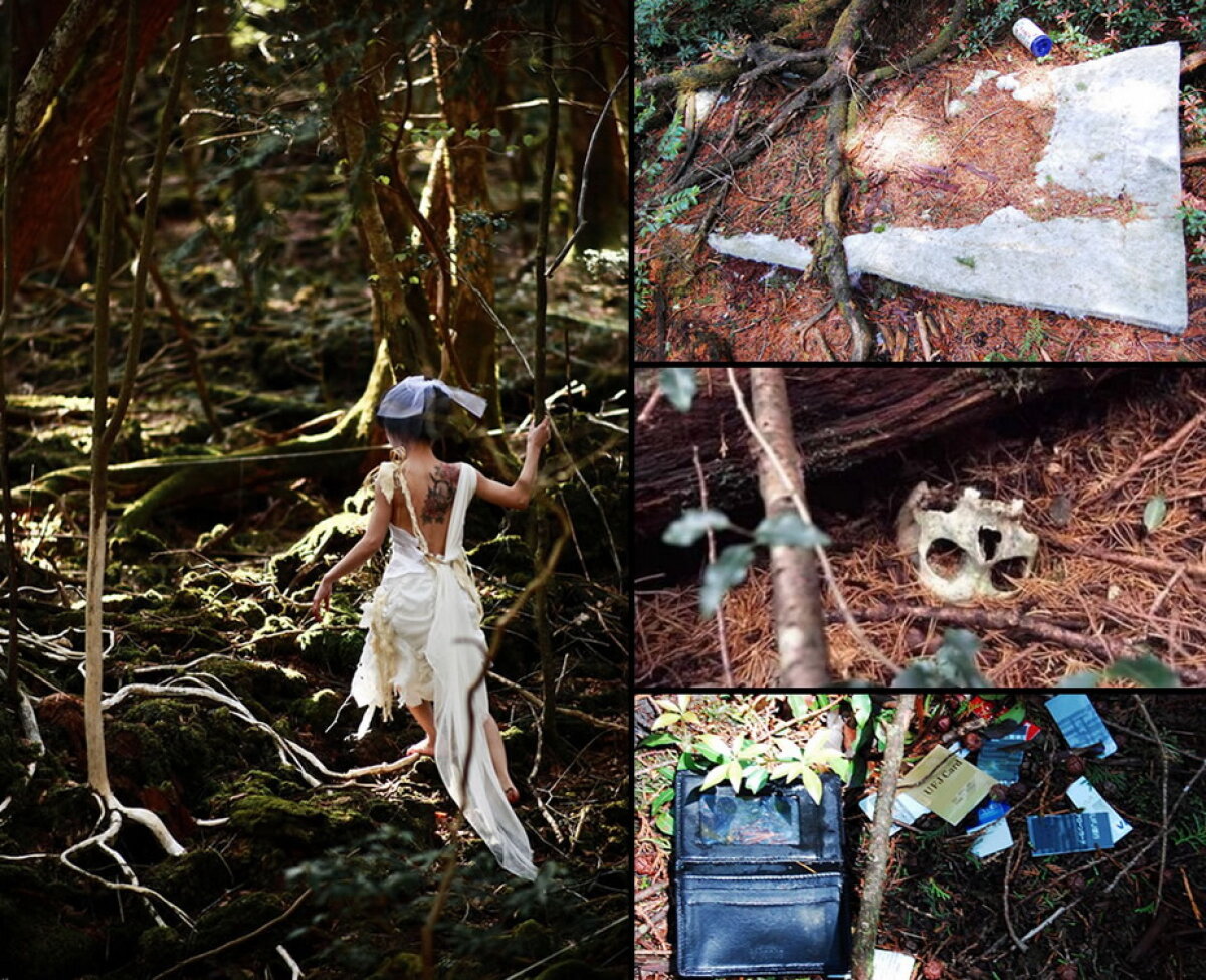 VIDEO & GALERIE FOTO » Pădurea Aokigahara, unul dintre cele mai macabre locuri din lume