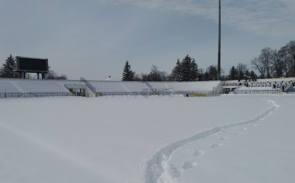 Reacție vehementă a lui Șumudică după ce a văzut imaginile cu stadionul de la Iași: "E inuman! Nu poți juca în asemenea condiții"