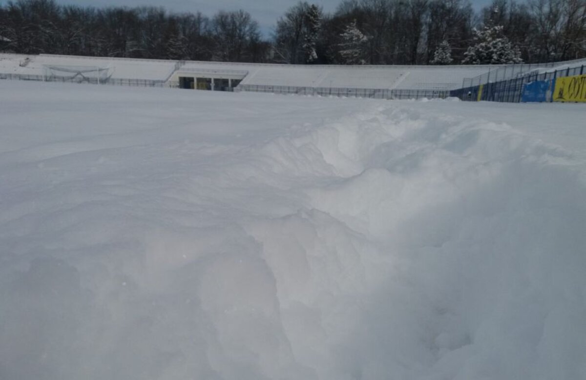 Reacție vehementă a lui Șumudică după ce a văzut imaginile cu stadionul de la Iași: "E inuman! Nu poți juca în asemenea condiții"