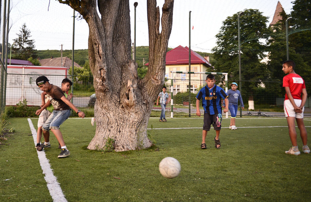 Fotografia zilei - cele mai interesante imagini ale lunii februarie 2017 în sport