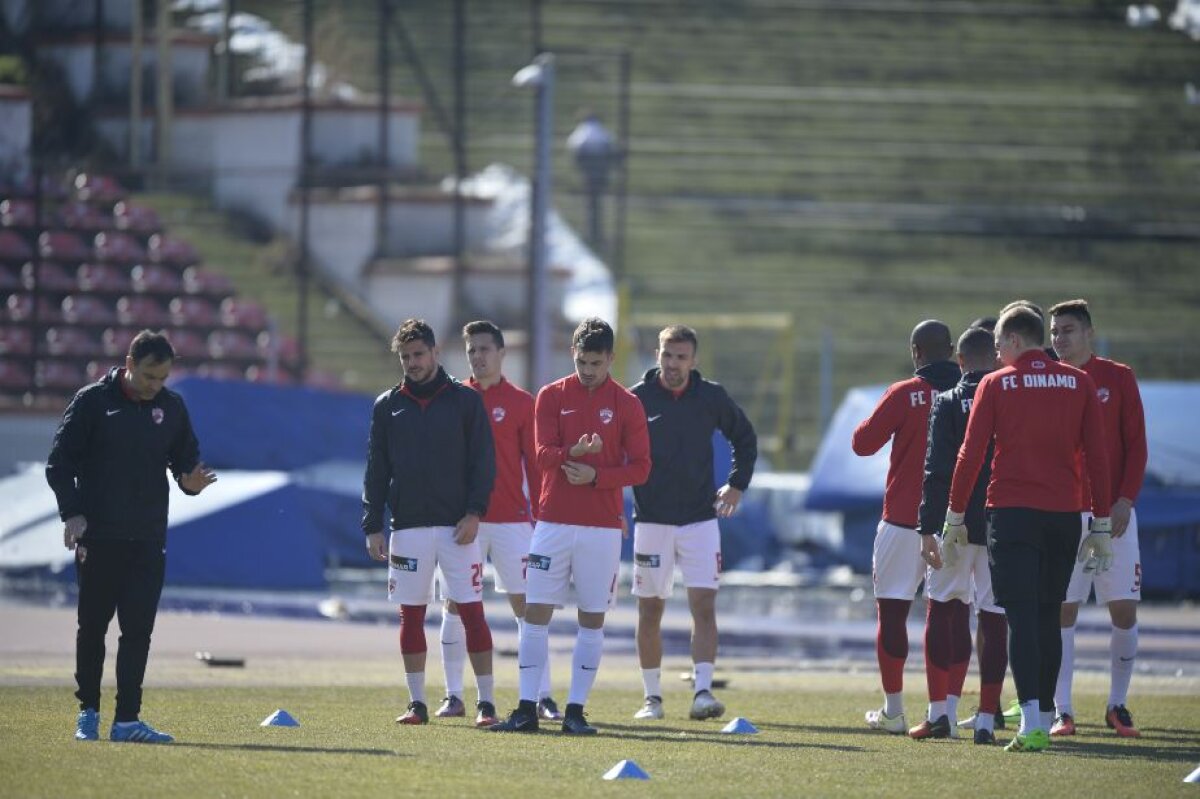 GALERIE FOTO Relaxare și voie bună la antrenamentul de azi al lui Dinamo! Contra s-a întreținut minute bune cu Adi Mutu