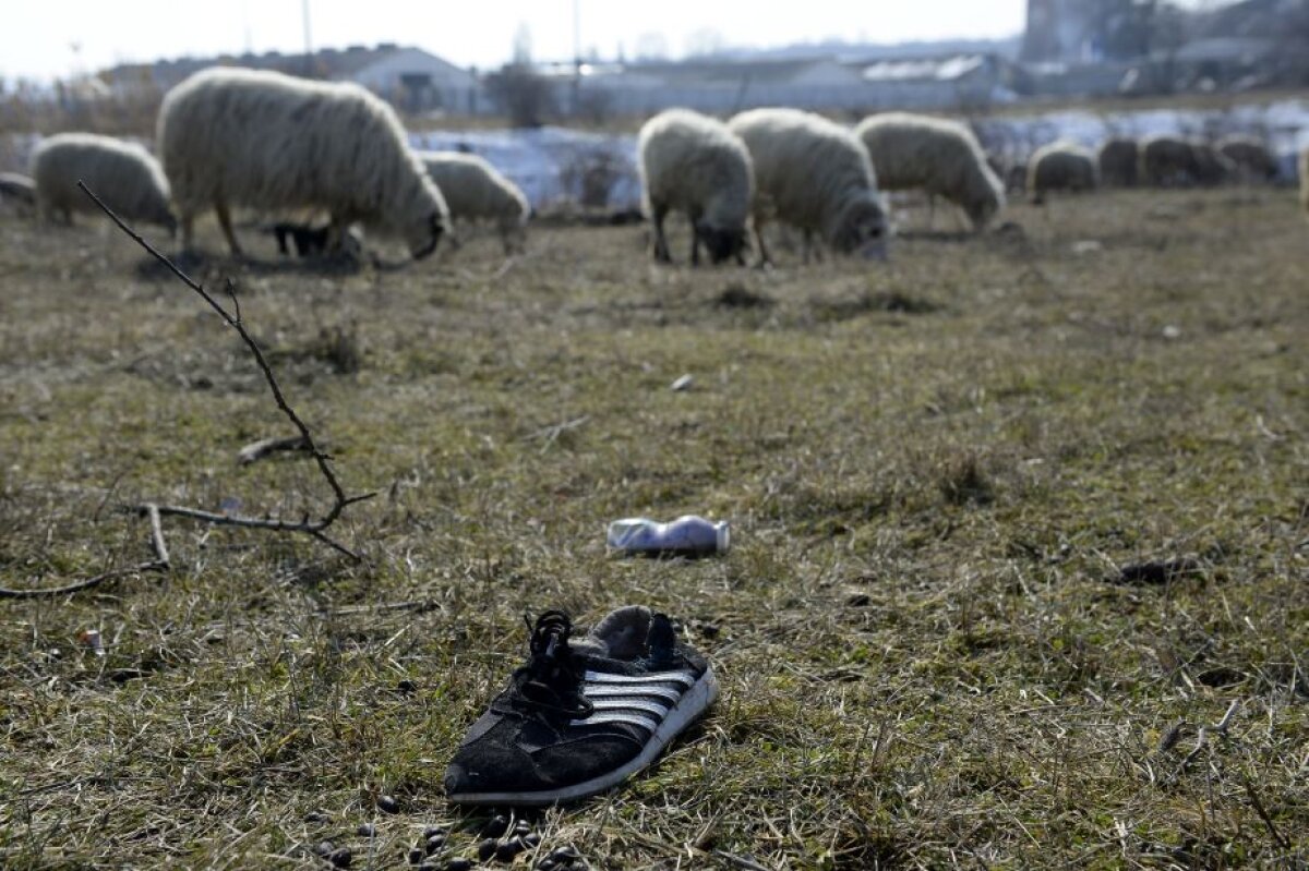 FOTOREPORTAJ + VIDEO » Deplorabil! Cum a ajuns stadionul din urbea lui Ceaușescu unde Dinamo pleca învinsă la finele anilor '80