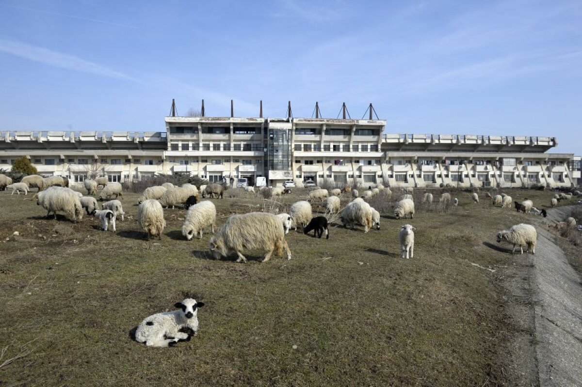 FOTOREPORTAJ + VIDEO » Deplorabil! Cum a ajuns stadionul din urbea lui Ceaușescu unde Dinamo pleca învinsă la finele anilor '80