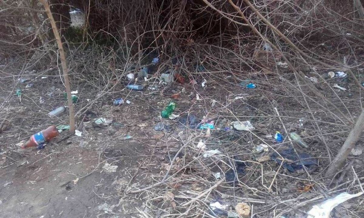 EXCLUSIV FOTO Ce s-a ales de baza de tenis promisă lângă Opera Română de Cosac în 2014 » Boscheții și mizeria au luat fața promisiunilor FRT