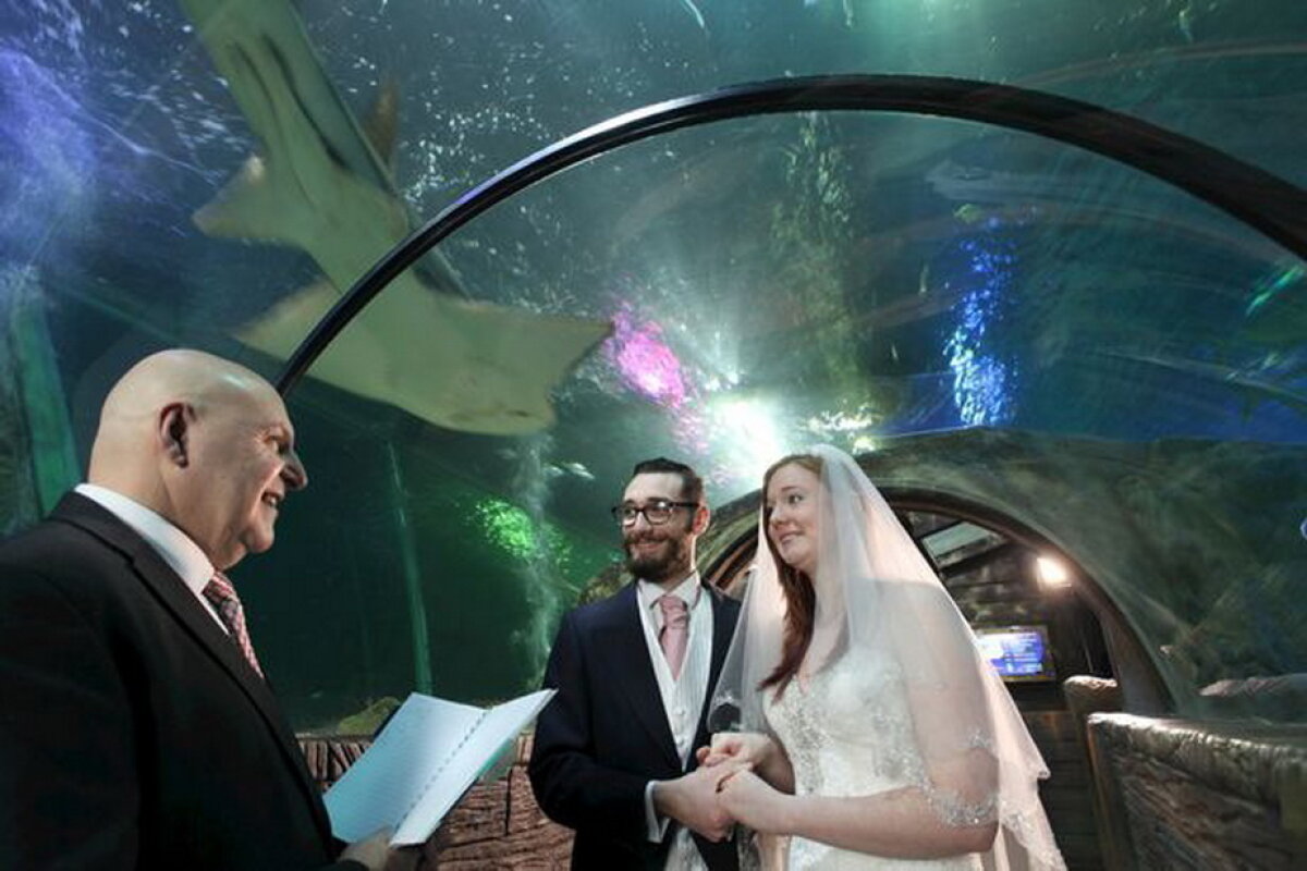 FOTO » Trendul momentului: nunțile subacvatice