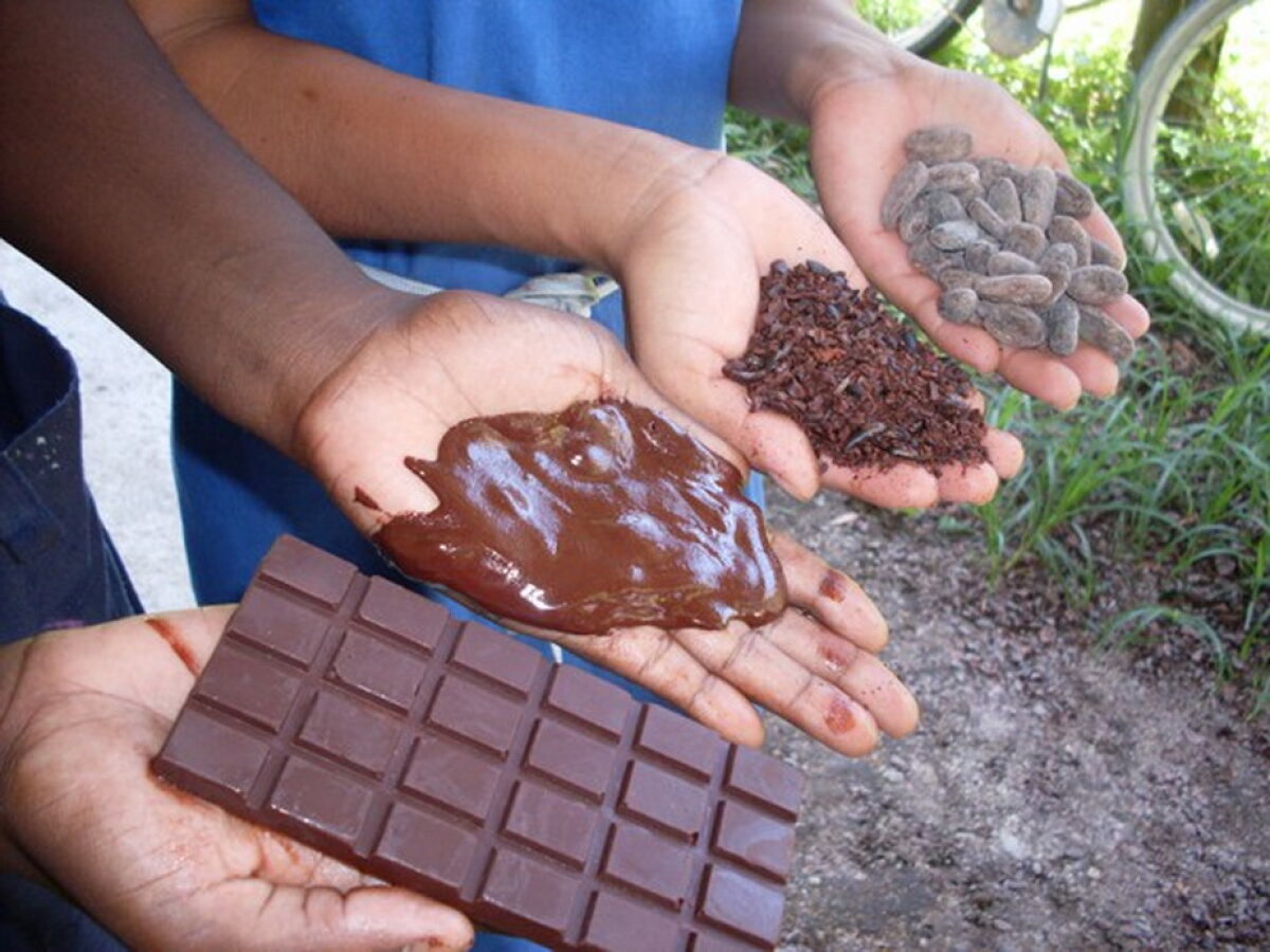 FOTO & VIDEO » Istoria ciocolatei