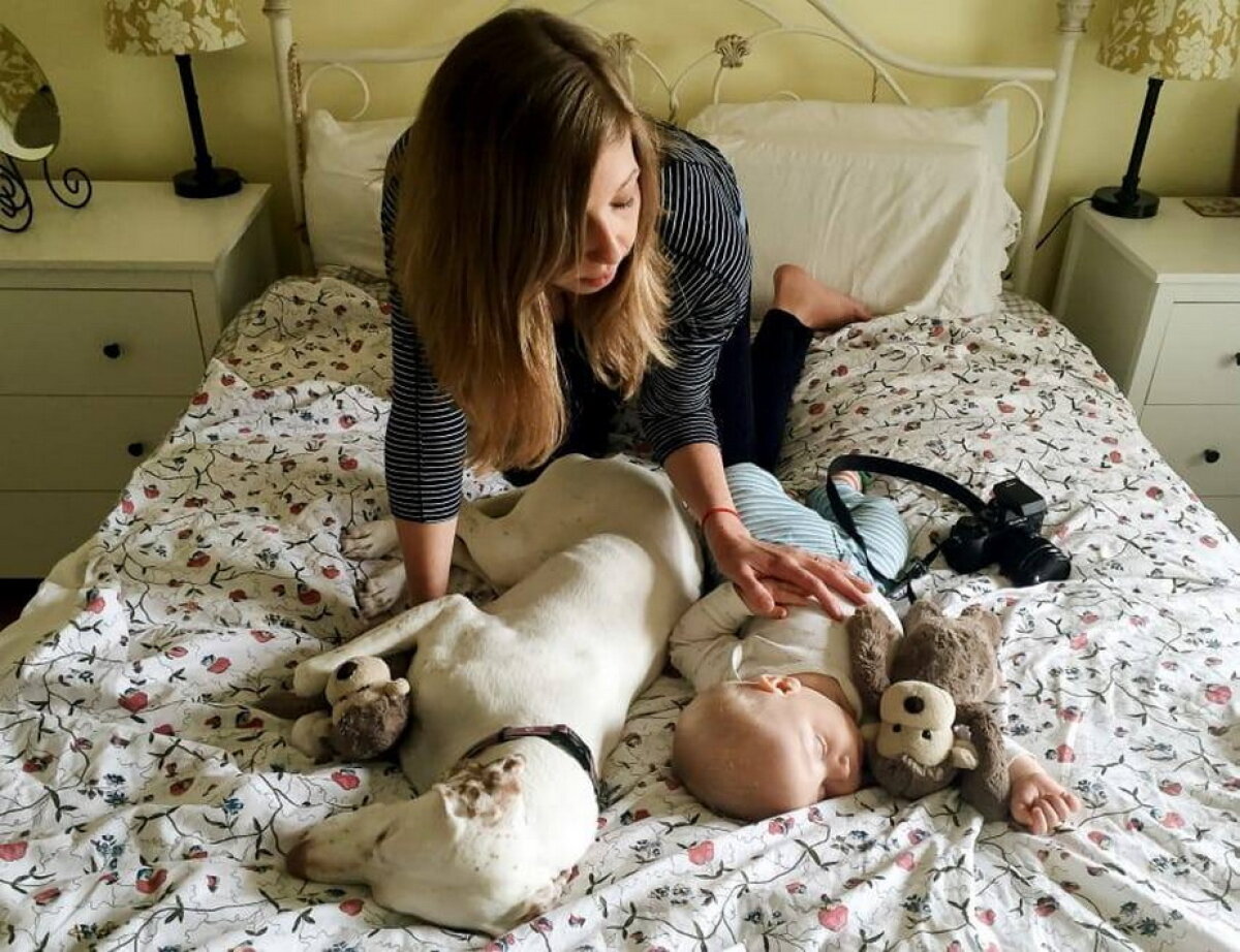 GALERIE FOTO » Un câine traumatizat este îngrozit de oameni, cu excepţia acestui copil