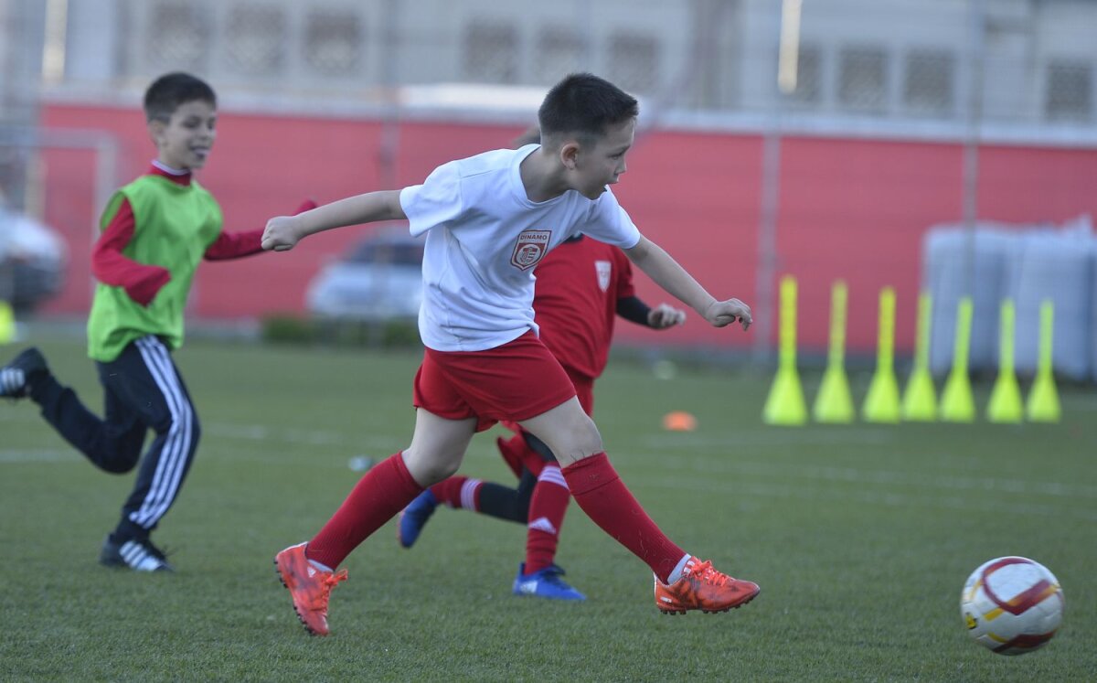 Galerie FOTO "Copiii" lui Badea » Gazeta a fost în vizită la grupele de juniori ale CS Dinamo: cine e ”Lăcătuș” din Groapă