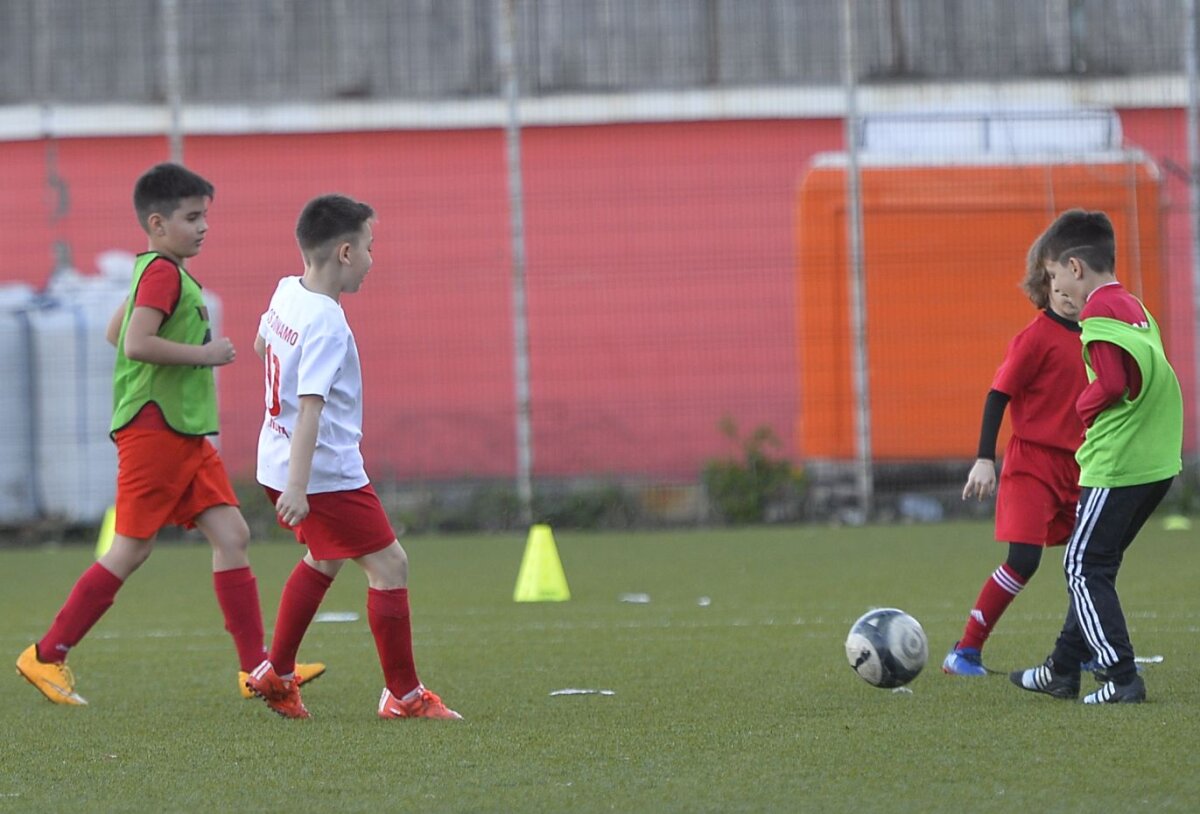 Galerie FOTO "Copiii" lui Badea » Gazeta a fost în vizită la grupele de juniori ale CS Dinamo: cine e ”Lăcătuș” din Groapă