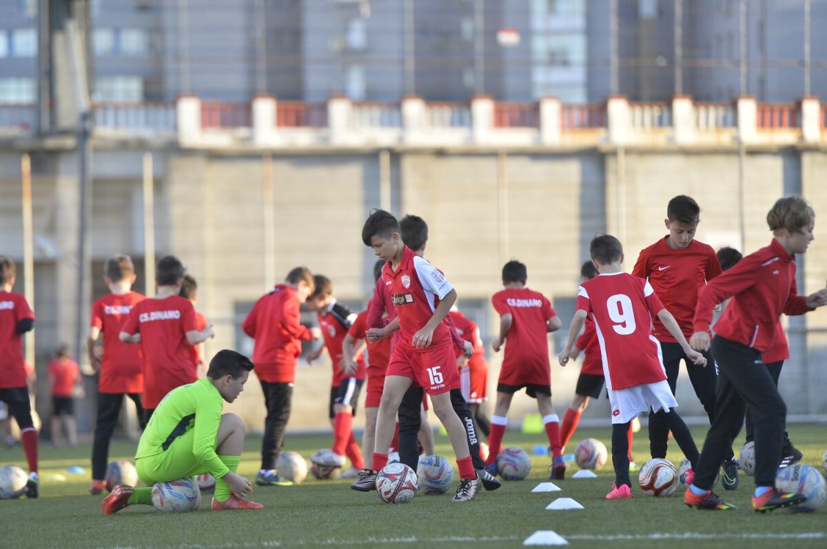 Galerie FOTO "Copiii" lui Badea » Gazeta a fost în vizită la grupele de juniori ale CS Dinamo: cine e ”Lăcătuș” din Groapă