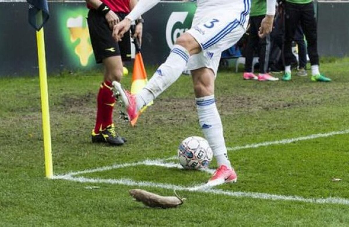 VIDEO+FOTO Ce se întâmplă cu fanii din Europa?! Scene HORROR în derby: jucătorii luați la țintă cu șobolani morți! 