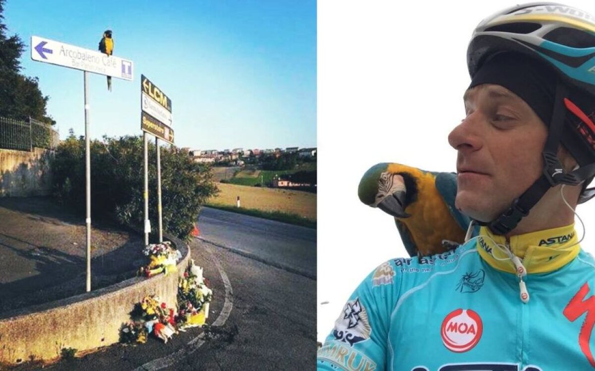 Fotografia zilei - cele mai interesante imagini ale lunii aprilie 2017 în sport