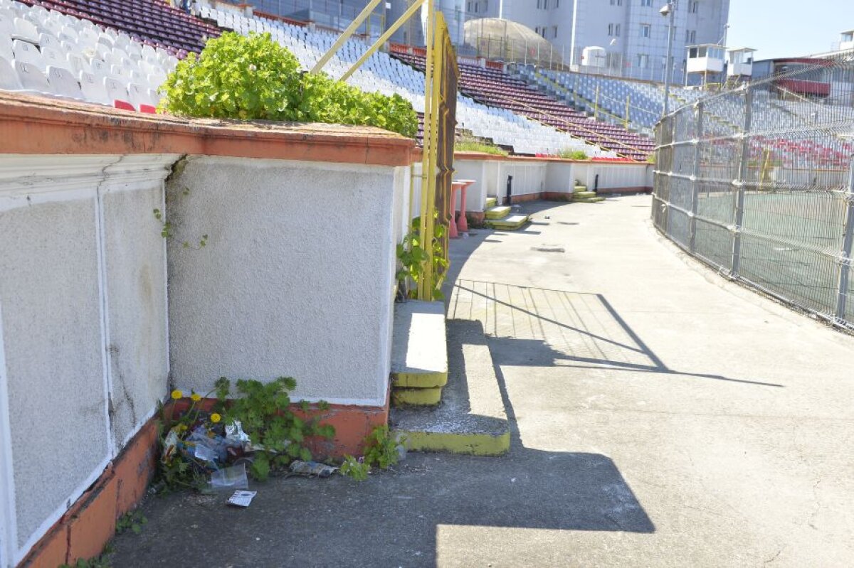 VIDEO + FOTO ”Groapa” cu gunoi » Stadionul lui Dinamo se află într-o continuă stare de degradare! Imagini sugestive 