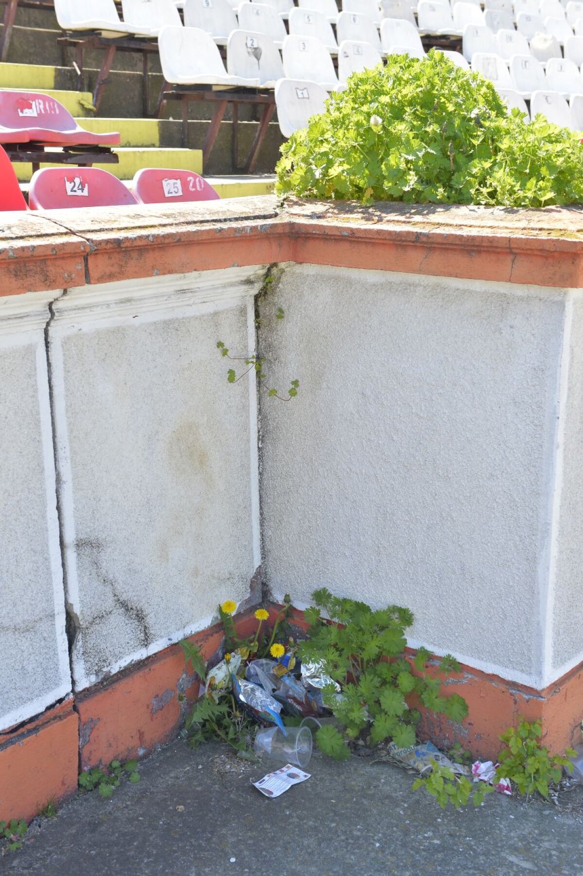 VIDEO + FOTO ”Groapa” cu gunoi » Stadionul lui Dinamo se află într-o continuă stare de degradare! Imagini sugestive 