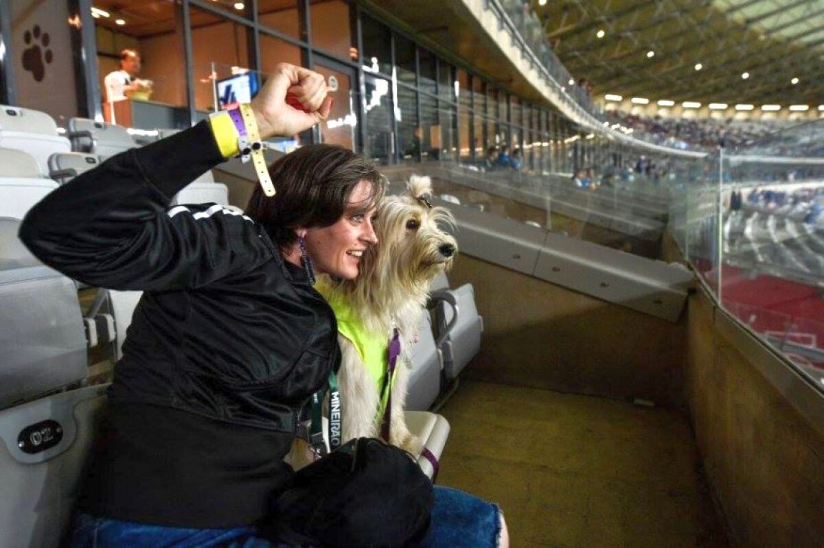 Mergi la meci cu cel mai bun prieten »Tribună inedită inaugurată pe un stadion