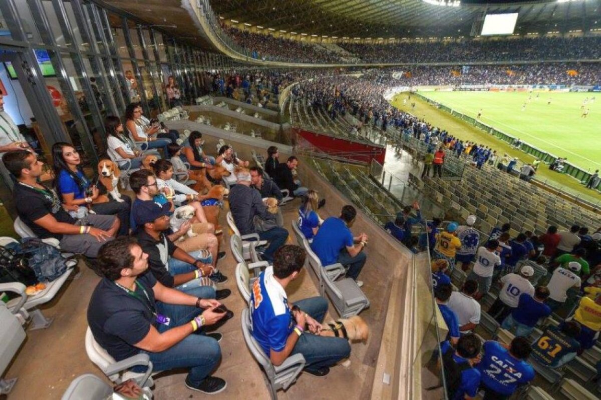 Mergi la meci cu cel mai bun prieten »Tribună inedită inaugurată pe un stadion
