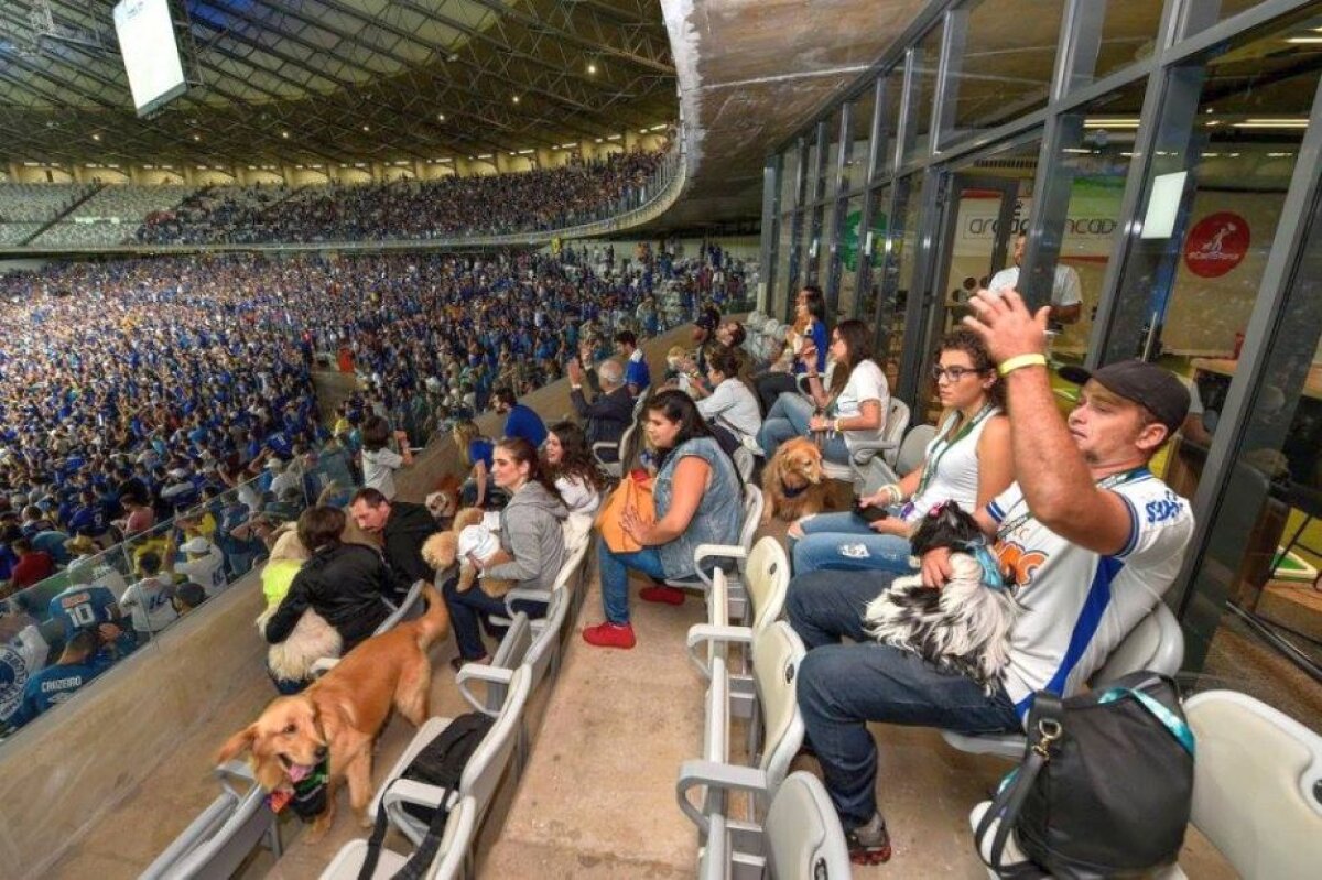 Mergi la meci cu cel mai bun prieten »Tribună inedită inaugurată pe un stadion