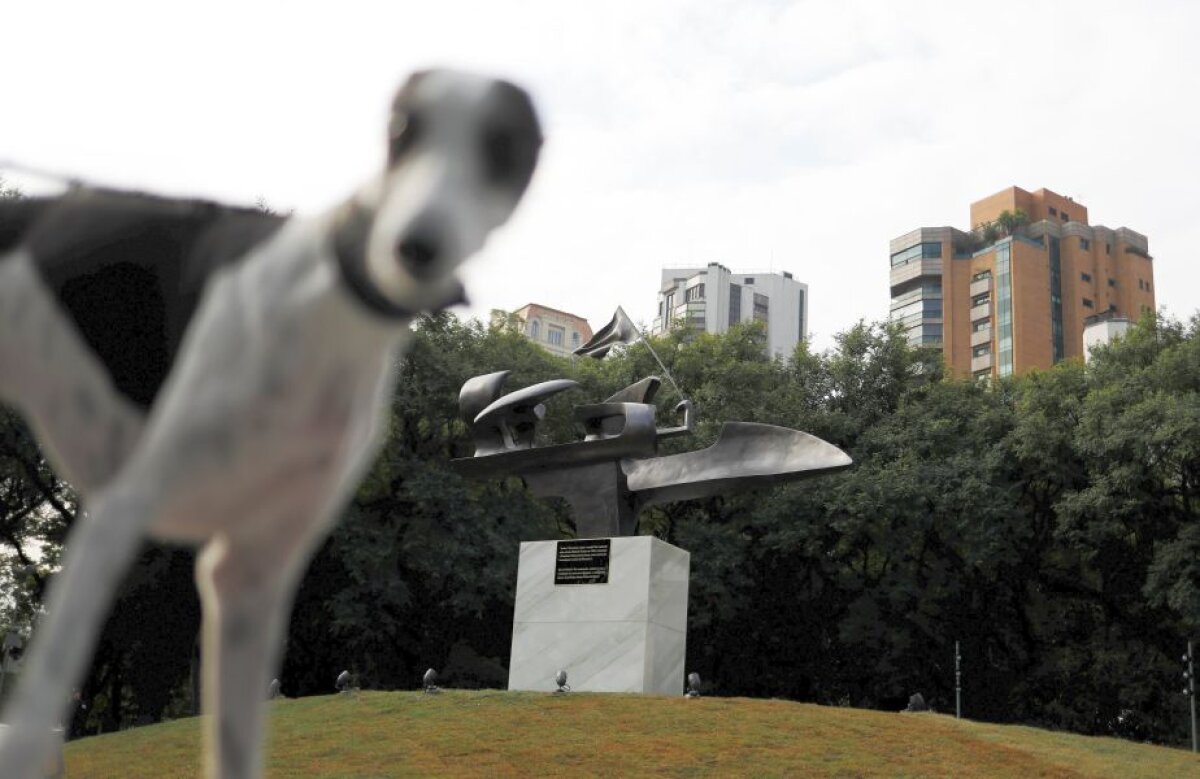 Fotografia zilei - cele mai interesante imagini ale lunii mai 2017 în sport