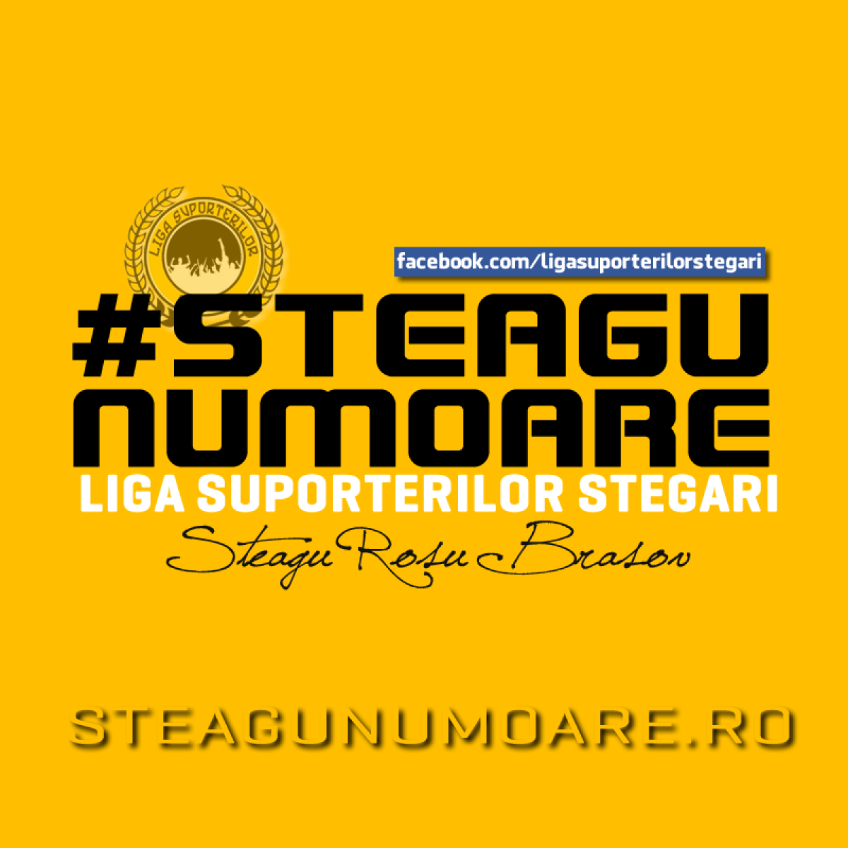 FC Brașov o poate lua pe urmele Rapidului: "S-au înscris deja 100 de persoane"