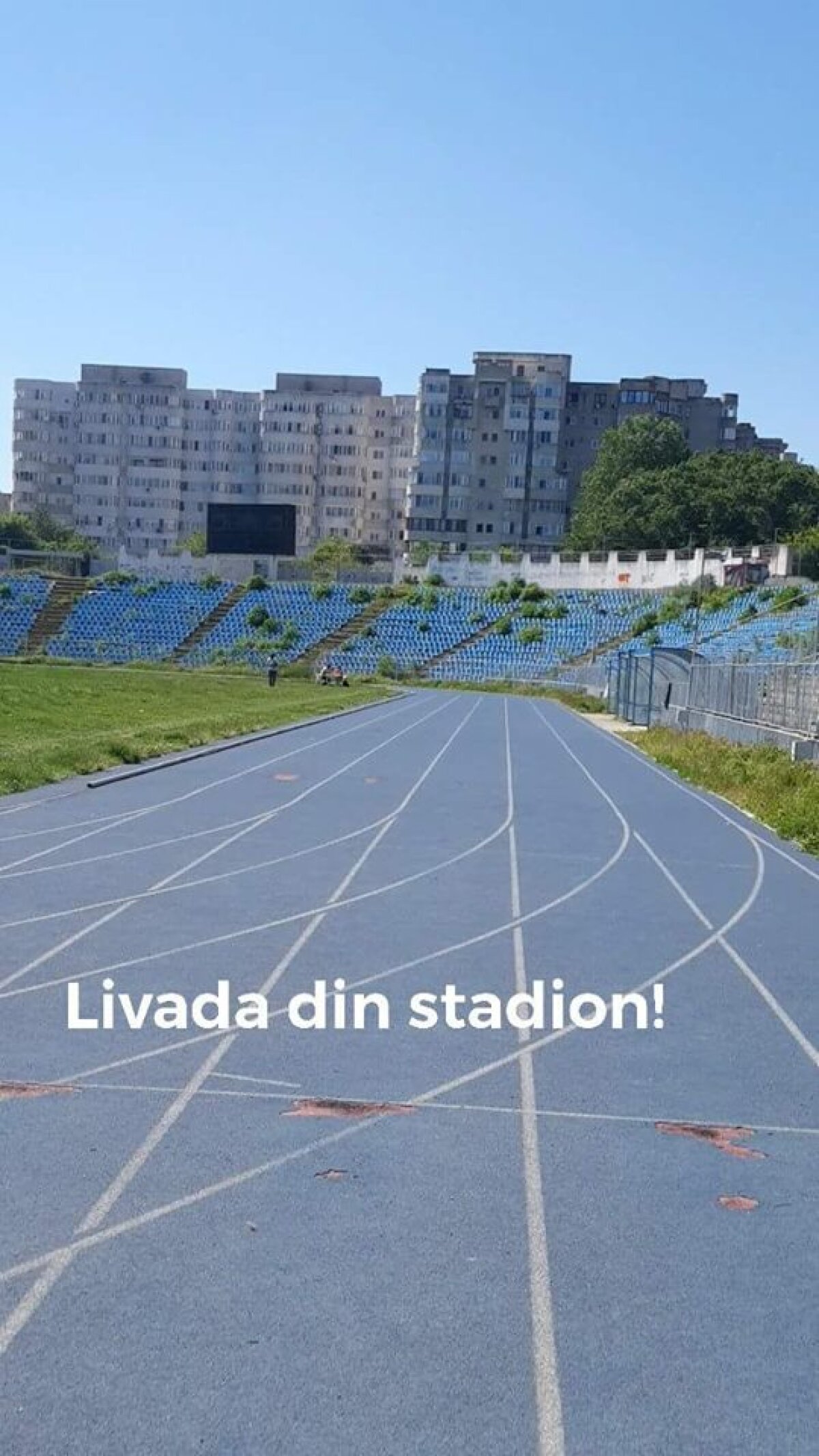 EXCLUSIV FOTO + VIDEO MTS și Consiliul Local se bat pe stadionul "Farul"! Arena a devenit însă focar de infecție: "Avem căpușe și șobolani! Și o livadă prin tribune"