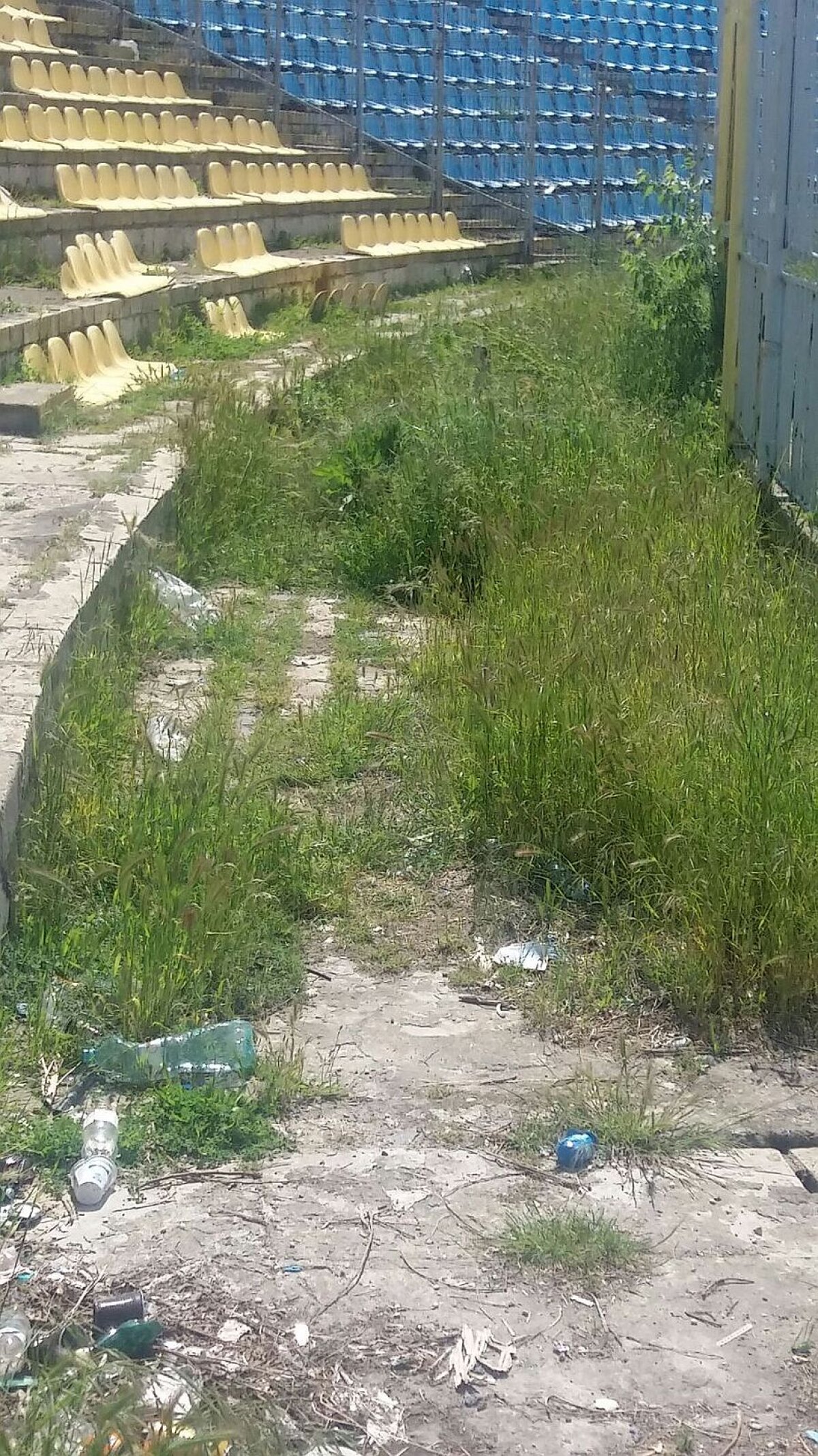 EXCLUSIV FOTO + VIDEO MTS și Consiliul Local se bat pe stadionul "Farul"! Arena a devenit însă focar de infecție: "Avem căpușe și șobolani! Și o livadă prin tribune"