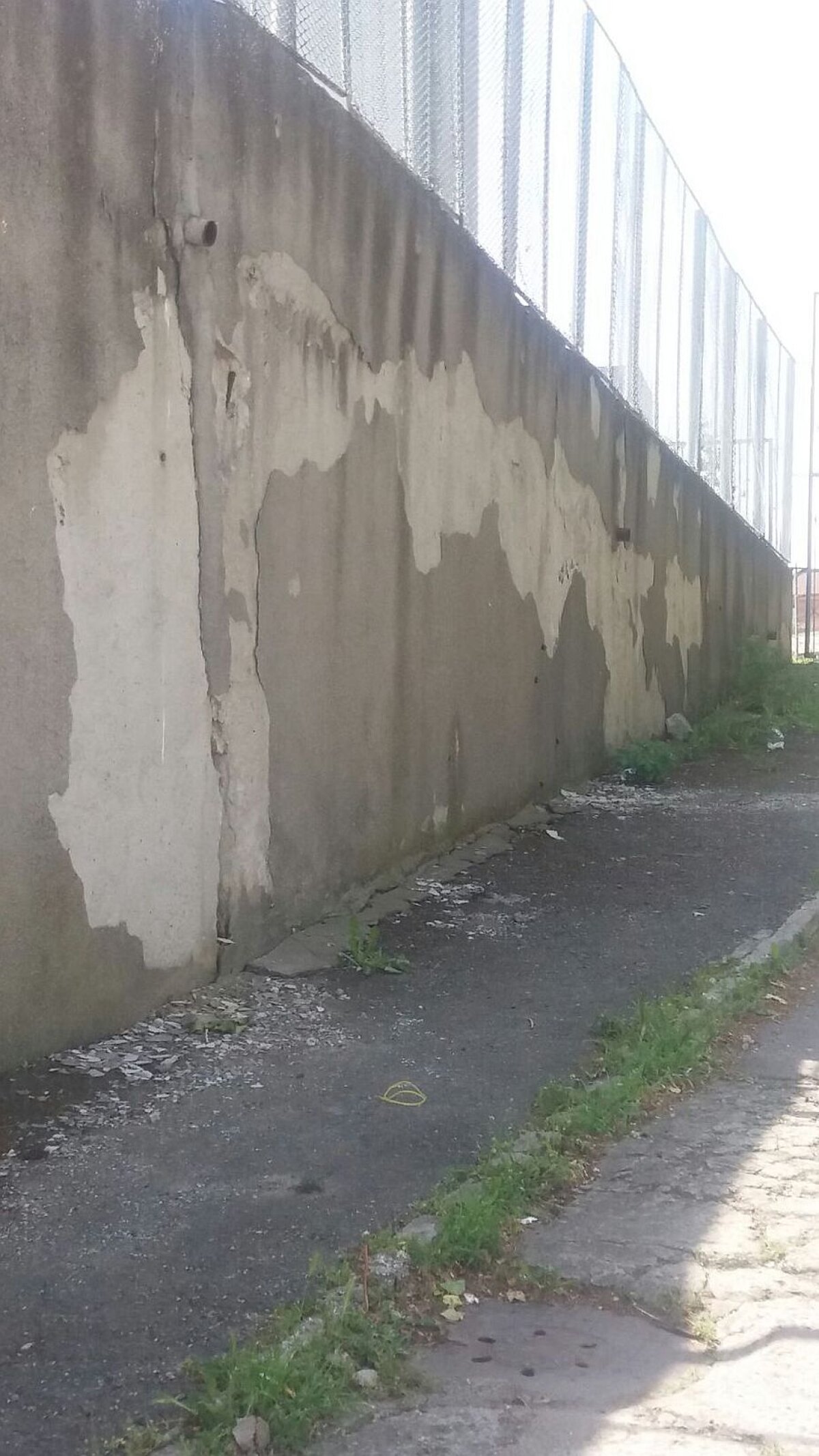 EXCLUSIV FOTO + VIDEO MTS și Consiliul Local se bat pe stadionul "Farul"! Arena a devenit însă focar de infecție: "Avem căpușe și șobolani! Și o livadă prin tribune"