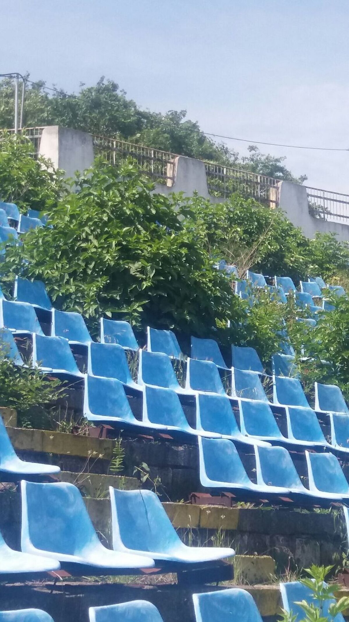 EXCLUSIV FOTO + VIDEO MTS și Consiliul Local se bat pe stadionul "Farul"! Arena a devenit însă focar de infecție: "Avem căpușe și șobolani! Și o livadă prin tribune"