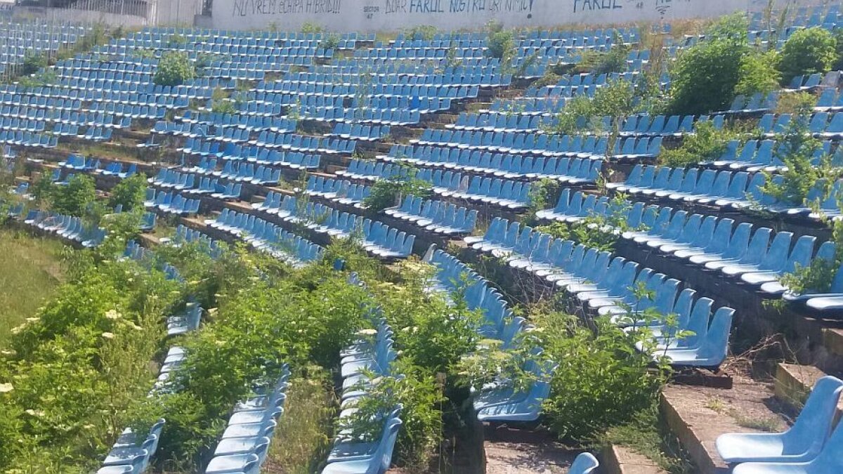 EXCLUSIV FOTO + VIDEO MTS și Consiliul Local se bat pe stadionul "Farul"! Arena a devenit însă focar de infecție: "Avem căpușe și șobolani! Și o livadă prin tribune"