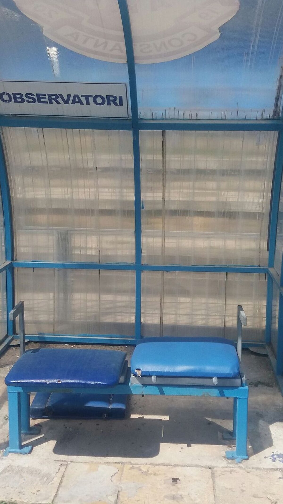 EXCLUSIV FOTO + VIDEO MTS și Consiliul Local se bat pe stadionul "Farul"! Arena a devenit însă focar de infecție: "Avem căpușe și șobolani! Și o livadă prin tribune"