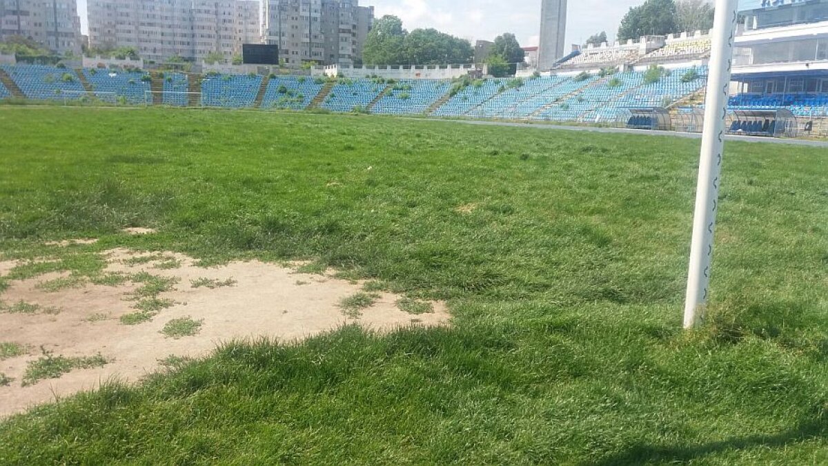 EXCLUSIV FOTO + VIDEO MTS și Consiliul Local se bat pe stadionul "Farul"! Arena a devenit însă focar de infecție: "Avem căpușe și șobolani! Și o livadă prin tribune"