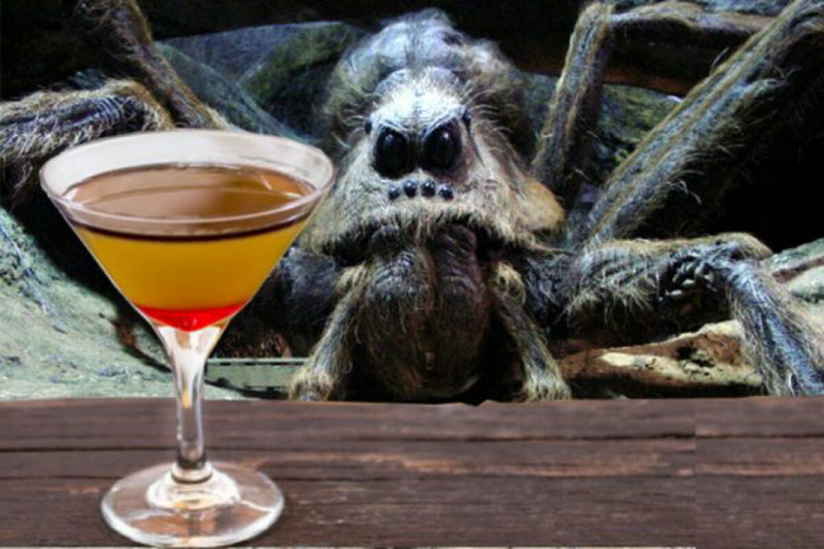 Aragog, cocktailul mexican cu venin de tarantulă