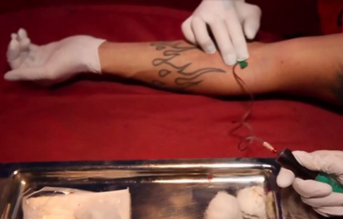 VIDEO & FOTO Așa ceva nu ai mai văzut niciodată! Își beau sângele, exact ca vampirii
