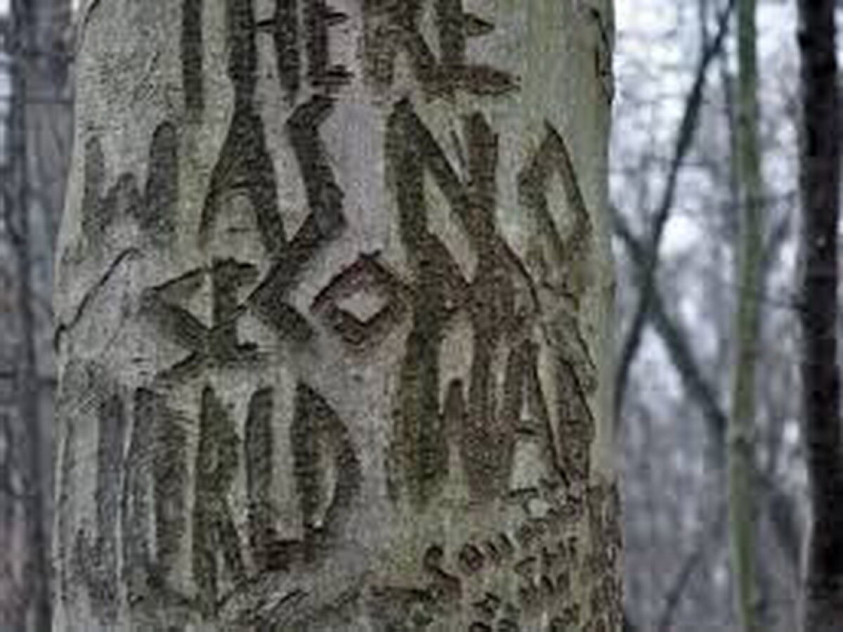 FOTO Parcul cu cele mai ciudate mesaje scrise pe copaci