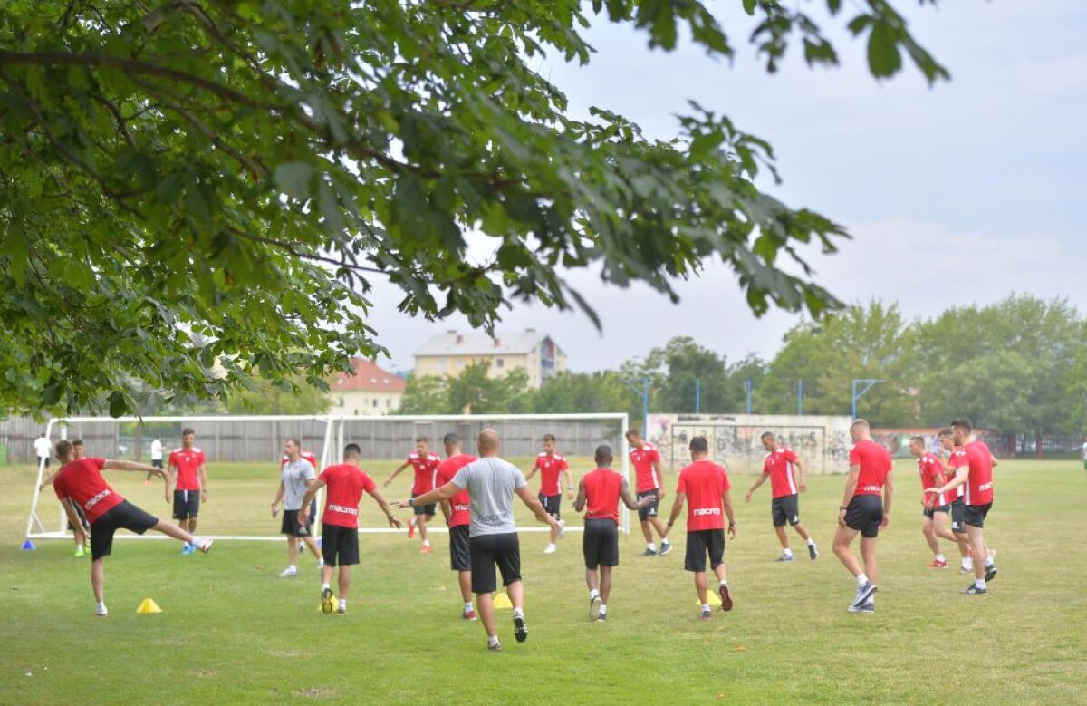 FOTO + VIDEO Corespondență din Slovenia » Imagini exclusive din cantonamentul "câinilor"! Exerciții de echilibru în tabăra lui Dinamo 