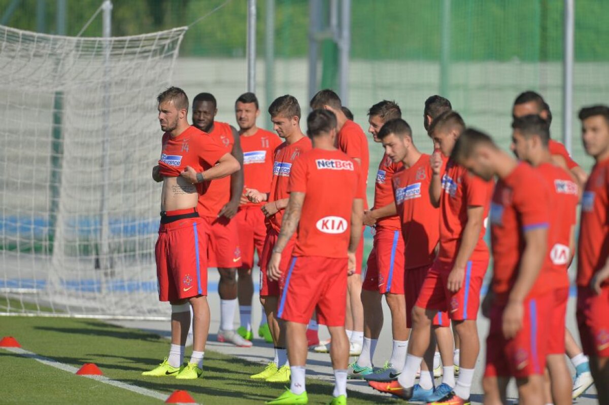 GALERIE FOTO Emoții risipite! "Bizonul" a revenit la antrenamentul FCSB-ului » De ce lipsește Dică două zile din cantonament 