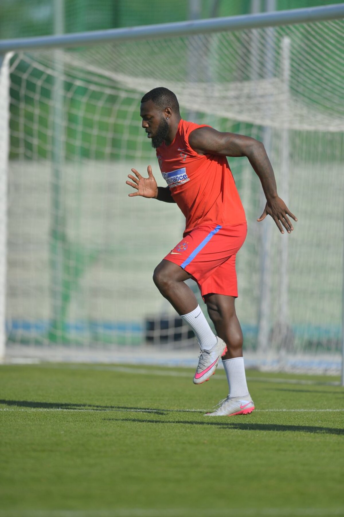 GALERIE FOTO Emoții risipite! "Bizonul" a revenit la antrenamentul FCSB-ului » De ce lipsește Dică două zile din cantonament 