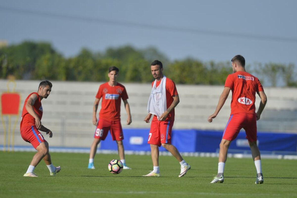 GALERIE FOTO Emoții risipite! "Bizonul" a revenit la antrenamentul FCSB-ului » De ce lipsește Dică două zile din cantonament 