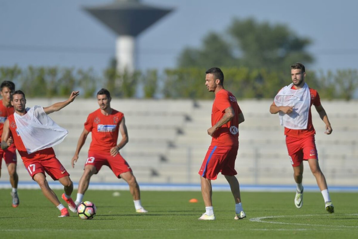 GALERIE FOTO Emoții risipite! "Bizonul" a revenit la antrenamentul FCSB-ului » De ce lipsește Dică două zile din cantonament 