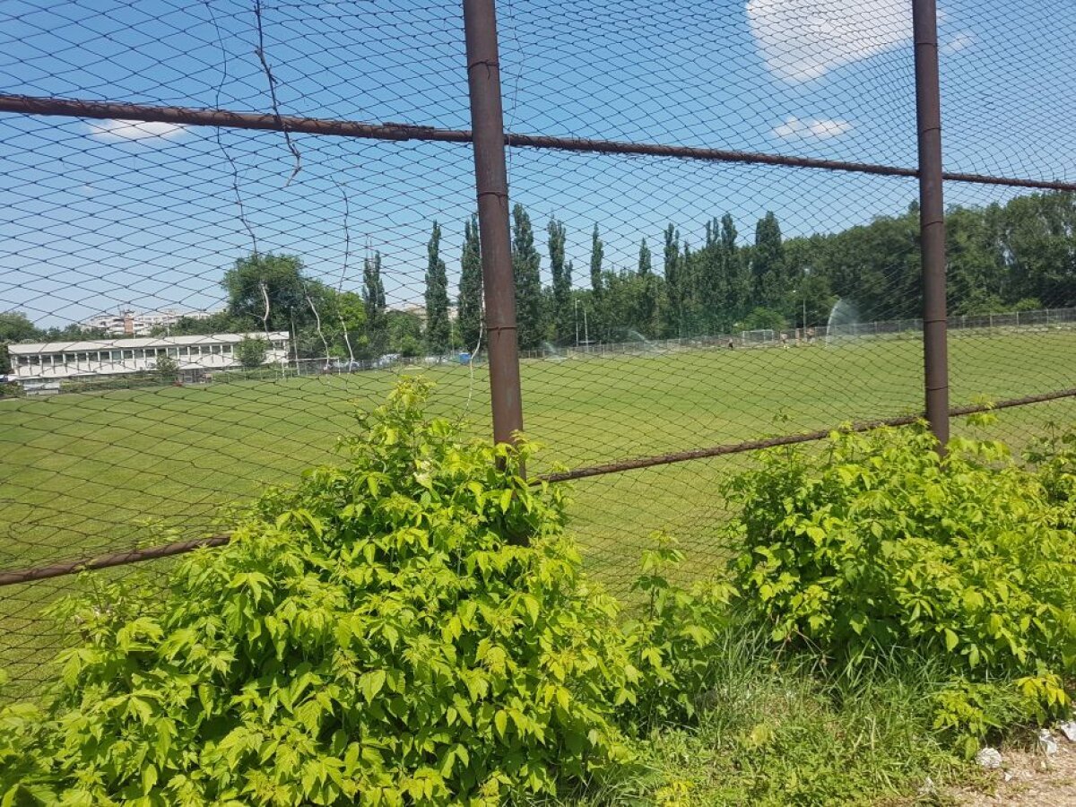 FOTO EXCLUSIV Pregătiri pentru Liga a 4-a! CSA Steaua pune la punct stadionul pe care urmează să joace