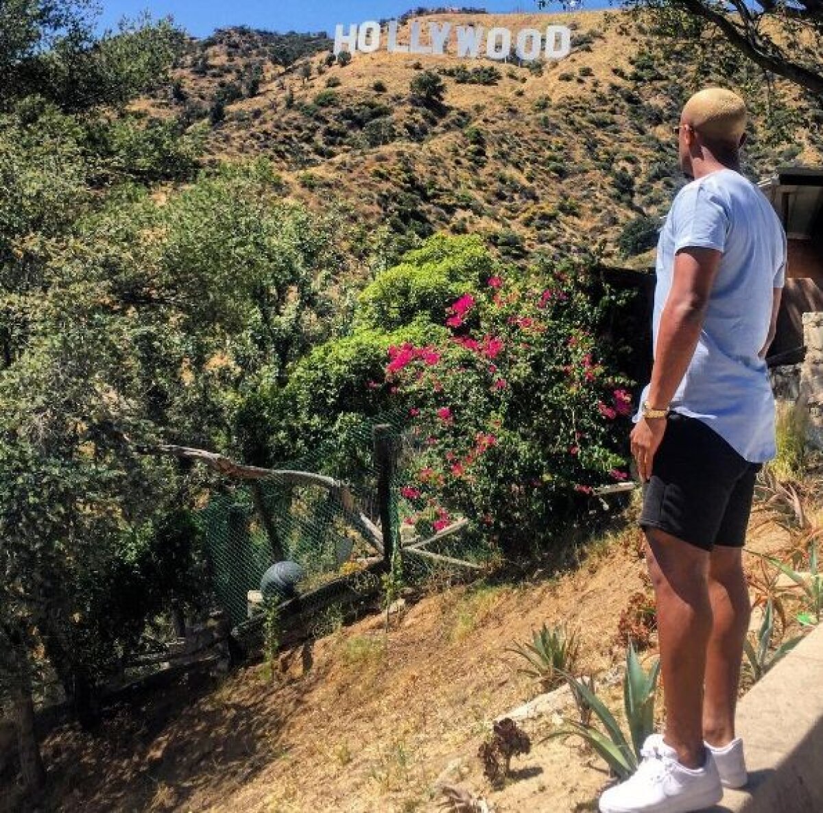 EXCLUSIV Dielna, promisiune făcută lui Adrian Mutu » Ce șanse sunt să ajungă la Dinamo