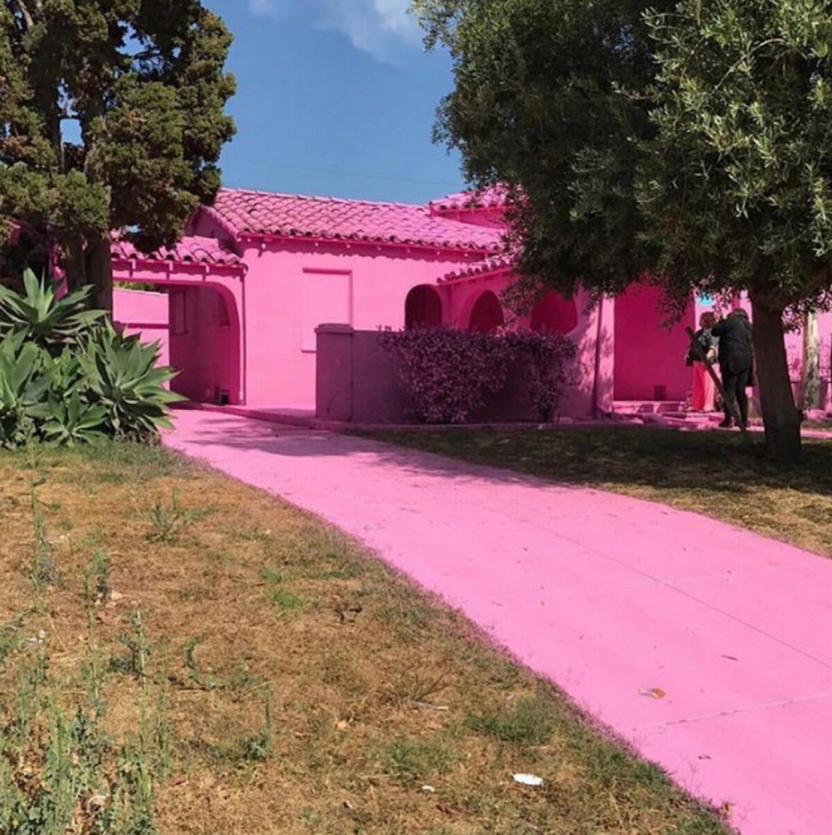 FOTO & VIDEO A vopsit mai multe case în roz şi a stârnit controverse în Los Angeles