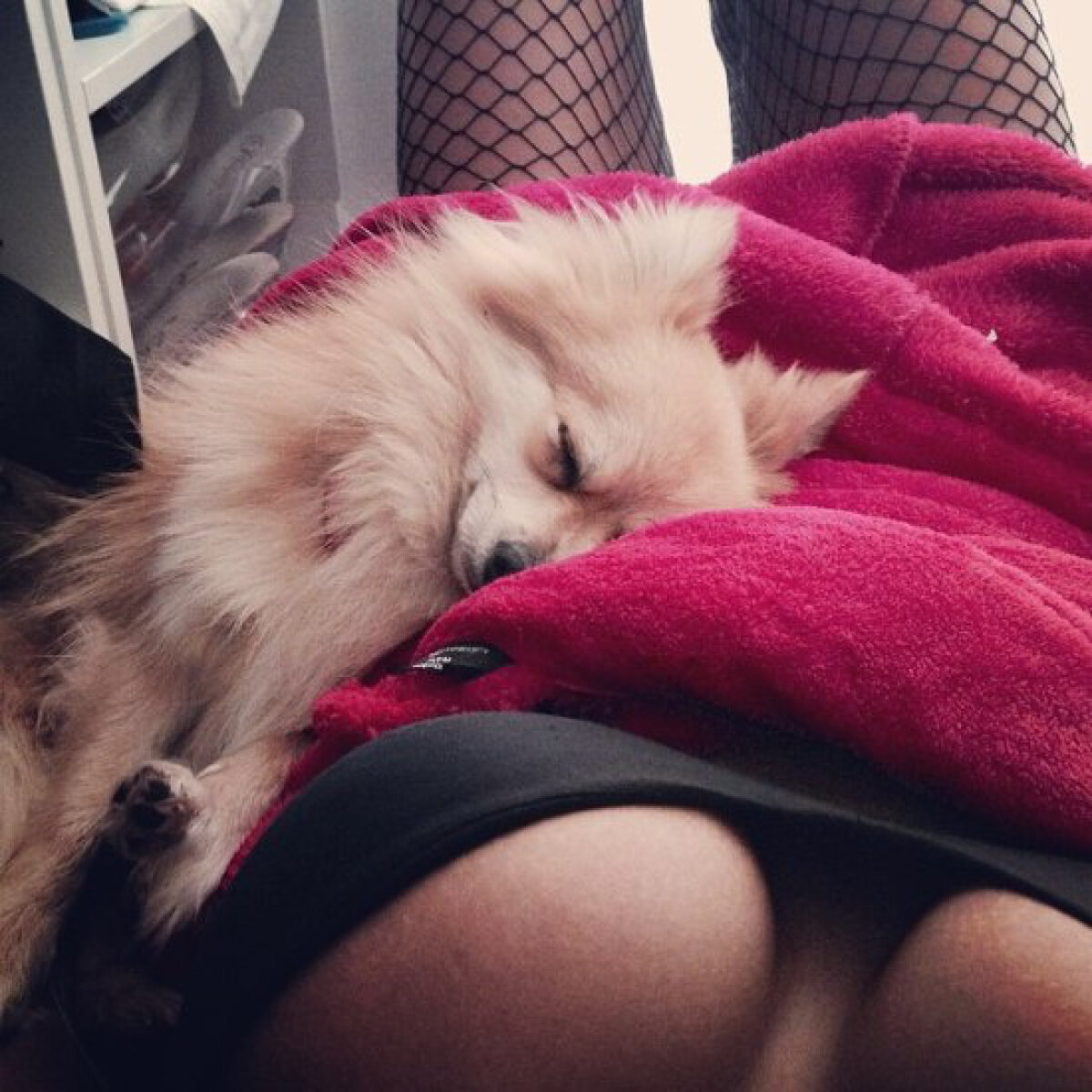 FOTO Are 22 de ani și a primit nota 10 la ”cel mai sexy corp din fitness”