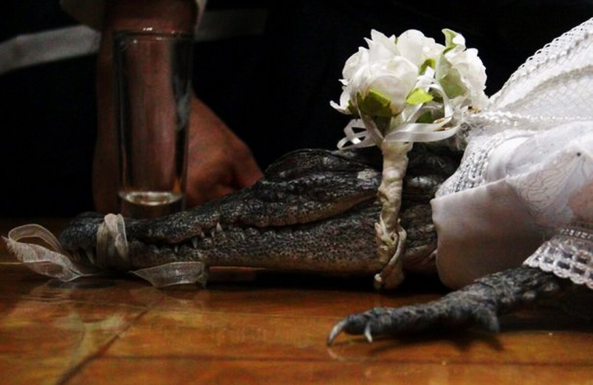 GALERIE FOTO & VIDEO Nuntă bizară în Mexic. Un primar s-a căsătorit cu un crocodil!
