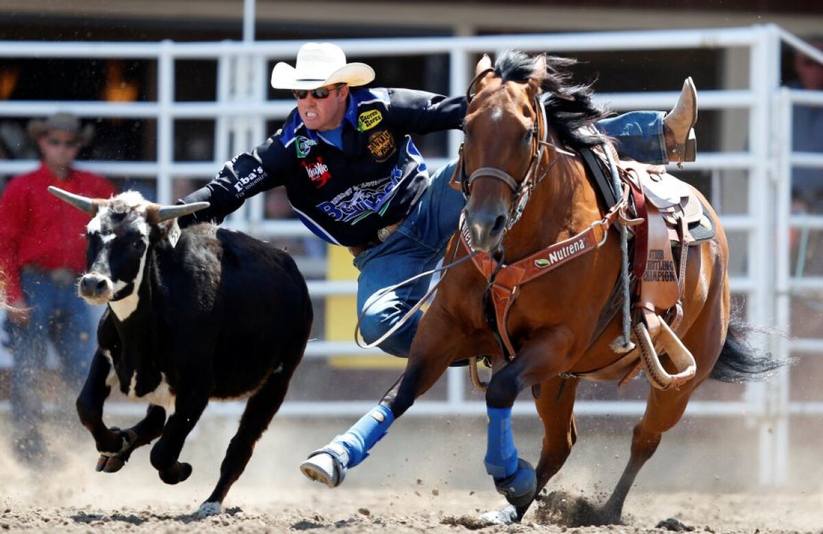 Fotografia zilei - cele mai interesante imagini ale lunii iulie 2017 în sport